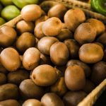 ΟΠΩΡΟΚΗΠΕΥΤΙΚΑ-ΛΑΧΑΝΑΓΟΡΑ-ΡΕΝΤΗ-ΣΑΡΑΝΤΟΥΛΑΚΗΣ-ΝΙΚΟΣ