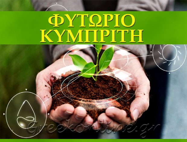 ΦΥΤΩΡΙΟ ΜΥΡΙΝΑ ΛΗΜΝΟΣ “ΦΥΤΩΡΙΟ ΚΥΜΠΡΙΤΗ” ΜΑΛΛΙΑΡΟΣ ΠΑΝΑΓΙΩΤΗΣ & ΕΥΑΓΓΕΛΟΣ Ο.Ε.