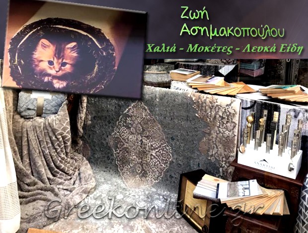 ΧΑΛΙΑ – ΛΕΥΚΑ ΕΙΔΗ ΑΓΡΙΝΙΟ ΑΣΗΜΑΚΟΠΟΥΛΟΥ ΖΩΗ