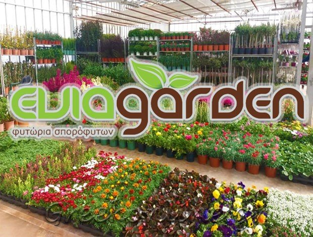 ΦΥΤΩΡΙΟ ΧΑΛΚΙΔΑ“EVIA GARDEN” ΣΤΑΜΑΤΗ ΕΥΑΓΓΕΛΙΑ