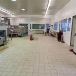 ΕΛΑΙΟΤΡΙΒΕΙΟ-ΚΡΕΜΜΥΔΙΑ-ΜΕΣΣΗΝΙΑΣ-1000ΧΩΡΙΑ-ΠΟΛΥΖΩΗΣ-ΣΑΡΑΝΤΟΣ