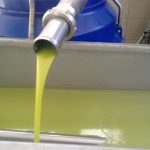Agrotikos-Synetairismos-Kakodikou-Chania-(11)