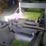 Agrotikos-Synetairismos-Kakodikou-Chania-(9)