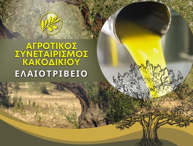 ΑΓΡΟΤΙΚΟΣ ΣΥΝΕΤΑΙΡΙΣΜΟΣ ΚΑΚΟΔΙΚΙΟΥ ΧΑΝΙΩΝ