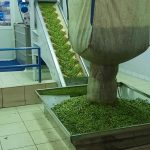 ΕΛΑΙΟΤΡΙΒΕΙΟ-ΚΡΕΣΤΕΝΑ-ΗΛΕΙΑΣ-ΑΦΟΙ-ΣΚΟΥΦΗ-ΟΕ