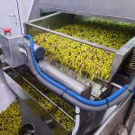 ΕΛΑΙΟΤΡΙΒΕΙΟ-ΚΡΕΣΤΕΝΑ-ΗΛΕΙΑΣ-ΑΦΟΙ-ΣΚΟΥΦΗ-ΟΕ