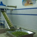 ΕΛΑΙΟΤΡΙΒΕΙΟ-ΚΡΕΣΤΕΝΑ-ΗΛΕΙΑΣ-ΑΦΟΙ-ΣΚΟΥΦΗ-ΟΕ