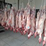 ΚΡΕΟΠΩΛΕΙΟ-ΑΝΤΙΜΑΧΕΙΑ-ΚΩΣ-ΜΟΥΣΤΑΚΑΣ-ΧΑΤΖΗΣΤΑΜΑΤΗΣ