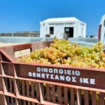 ΟΙΝΟΠΟΙΕΙΟ-ΣΑΝΤΟΡΙΝΗ-ΒΕΝΕΤΣΑΝΟΣ-WINERY