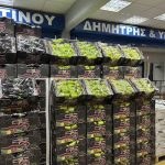 ΟΠΩΡΟΚΗΠΕΥΤΙΚΑ-ΜΕΝΕΜΕΝΗ-ΧΑΤΖΗΚΩΝΣΤΑΝΤΙΝΟΥ