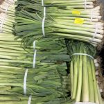 ΟΠΩΡΟΚΗΠΕΥΤΙΚΑ-ΜΕΝΕΜΕΝΗ-ΧΑΤΖΗΚΩΝΣΤΑΝΤΙΝΟΥ