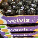 ΟΠΩΡΟΚΗΠΕΥΤΙΚΑ-ΜΕΝΕΜΕΝΗ-ΧΑΤΖΗΚΩΝΣΤΑΝΤΙΝΟΥ