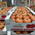 ΟΠΩΡΟΚΗΠΕΥΤΙΚΑ-ΜΕΝΕΜΕΝΗ-ΧΑΤΖΗΚΩΝΣΤΑΝΤΙΝΟΥ