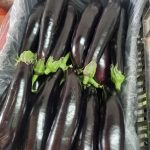 ΟΠΩΡΟΚΗΠΕΥΤΙΚΑ-ΜΕΝΕΜΕΝΗ-ΧΑΤΖΗΚΩΝΣΤΑΝΤΙΝΟΥ