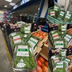 ΟΠΩΡΟΚΗΠΕΥΤΙΚΑ-ΜΕΝΕΜΕΝΗ-ΧΑΤΖΗΚΩΝΣΤΑΝΤΙΝΟΥ