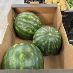 ΟΠΩΡΟΚΗΠΕΥΤΙΚΑ-ΜΕΝΕΜΕΝΗ-ΧΑΤΖΗΚΩΝΣΤΑΝΤΙΝΟΥ