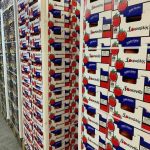 ΟΠΩΡΟΚΗΠΕΥΤΙΚΑ-ΜΕΝΕΜΕΝΗ-ΧΑΤΖΗΚΩΝΣΤΑΝΤΙΝΟΥ