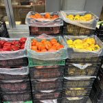 ΟΠΩΡΟΚΗΠΕΥΤΙΚΑ-ΜΕΝΕΜΕΝΗ-ΧΑΤΖΗΚΩΝΣΤΑΝΤΙΝΟΥ