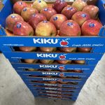 ΟΠΩΡΟΚΗΠΕΥΤΙΚΑ-ΜΕΝΕΜΕΝΗ-ΧΑΤΖΗΚΩΝΣΤΑΝΤΙΝΟΥ