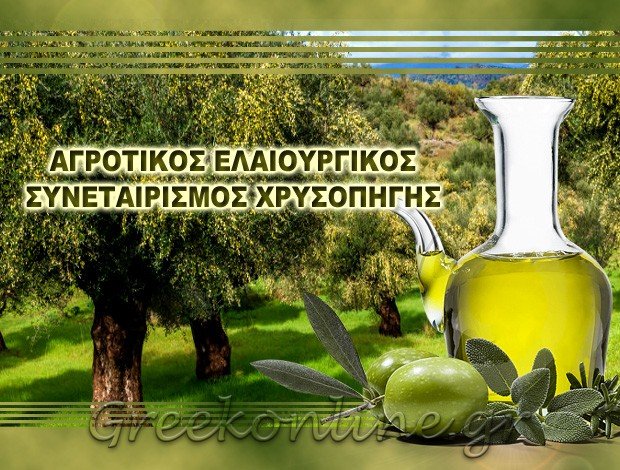 ΕΛΑΙΟΥΡΓΙΚΟΣ ΣΥΝΕΤΑΙΡΙΣΜΟΣ ΧΡΥΣΟΠΗΓΗ ΛΑΣΙΘΙΟΥ ΚΡΗΤΗΣ “ΑΓΡΟΤΙΚΟΣ ΕΛΑΙΟΥΡΓΙΚΟΣ ΣΥΝΕΤΑΙΡΙΣΜΟΣ ΧΡΥΣΟΠΗΓΗΣ”