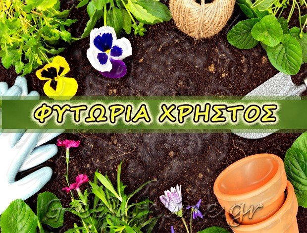 ΦΥΤΩΡΙΟ ΙΩΝΙΑ ΘΕΣΣΑΛΟΝΙΚΗΣ  “ΦΥΤΩΡΙΑ ΧΡΗΣΤΟΣ”   ΚΟΤΣΙ ΧΡΗΣΤΟΣ