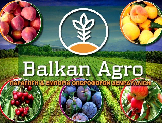 ΦΥΤΩΡΙΟ ΟΠΩΡΟΦΟΡΩΝ ΔΕΝΤΡΩΝ ΒΕΡΟΙΑ ΗΜΑΘΙΑΣ “BALKAN AGRO”