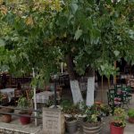 ΤΑΒΕΡΝΑ-ΕΥΡΩΣΤΙΝΑ-ΚΟΡΙΝΘΙΑΣ-Ο-ΚΟΡΑΗΣ-ΓΚΟΛΦΙΝΟΠΟΥΛΟΣ