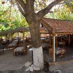 ΤΑΒΕΡΝΑ-ΕΥΡΩΣΤΙΝΑ-ΚΟΡΙΝΘΙΑΣ-Ο-ΚΟΡΑΗΣ-ΓΚΟΛΦΙΝΟΠΟΥΛΟΣ