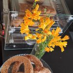 ΚΑΦΕΤΕΡΙΑ-ΠΑΛΙΟΥΡΑΣ-ΕΥΒΟΙΑΣ-BEBIS-CAFE-ΜΑΛΛΙΑΡΗΣ