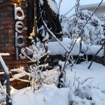 ΚΑΦΕΤΕΡΙΑ-ΠΑΛΙΟΥΡΑΣ-ΕΥΒΟΙΑΣ-BEBIS-CAFE-ΜΑΛΛΙΑΡΗΣ