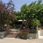 ΚΑΦΕΤΕΡΙΑ-ΠΑΛΙΟΥΡΑΣ-ΕΥΒΟΙΑΣ-BEBIS-CAFE-ΜΑΛΛΙΑΡΗΣ