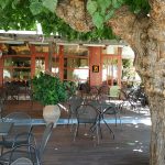 ΚΑΦΕΤΕΡΙΑ-ΠΑΛΙΟΥΡΑΣ-ΕΥΒΟΙΑΣ-BEBIS-CAFE-ΜΑΛΛΙΑΡΗΣ