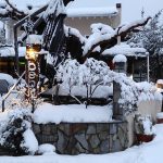 ΚΑΦΕΤΕΡΙΑ-ΠΑΛΙΟΥΡΑΣ-ΕΥΒΟΙΑΣ-BEBIS-CAFE-ΜΑΛΛΙΑΡΗΣ