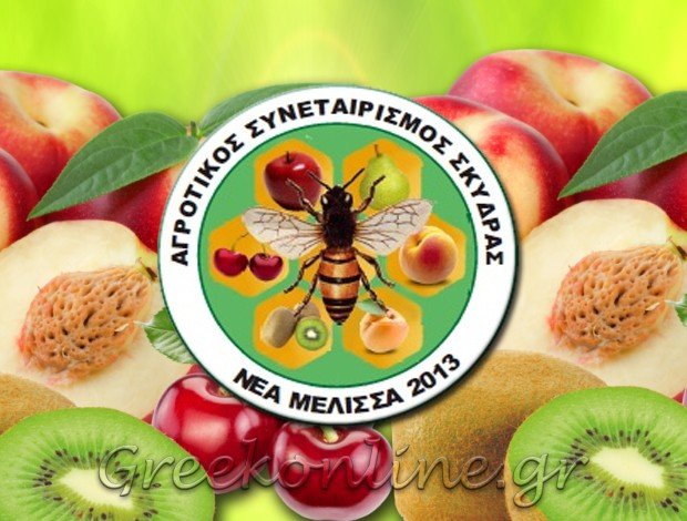 ΑΓΡΟΤΙΚΟΣ ΣΥΝΕΤΑΙΡΙΣΜΟΣ ΣΚΥΔΡΑ ΠΕΛΛΑΣ  “Η ΝΕΑ ΜΕΛΙΣΣΑ”