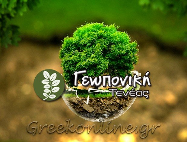 ΓΕΩΡΓΙΚΑ ΕΦΟΔΙΑ ΧΙΛΙΟΜΟΔΙ ΚΟΡΙΝΘΙΑΣ  “ΓΕΩΠΟΝΙΚΗ ΤΕΝΕΑΣ”  ΚΑΤΣΙΜΠΟΥΛΑΣ Ι. ΜΟΝΟΠΡΟΣΩΠΗ ΕΠΕ