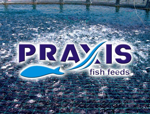 ΠΑΡΑΓΩΓΗ ΙΧΘΥΟΤΡΟΦΩΝ ΠΕΙΡΑΙΑΣ ΑΤΤΙΚΗΣ  “PRAXIS AQUACULTURE”  Κ. ΠΑΠΑΚΩΣΤΑΣ & ΣΙΑ Ε.Ε.