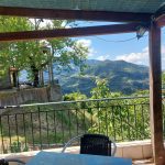 ΚΑΦΕ-ΨΗΤΟΠΩΛΕΙΟ-ΕΛΑΤΗ-ΑΡΤΑΣ-ΤΟ-ΜΠΑΛΚΟΝΙ-ΤΗΣ-ΕΛΑΤΗΣ