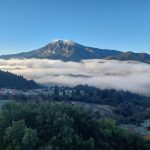 ΚΑΦΕ-ΨΗΤΟΠΩΛΕΙΟ-ΕΛΑΤΗ-ΑΡΤΑΣ-ΤΟ-ΜΠΑΛΚΟΝΙ-ΤΗΣ-ΕΛΑΤΗΣ