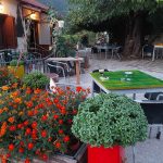 ΚΑΦΕ-ΨΗΤΟΠΩΛΕΙΟ-ΕΛΑΤΗ-ΑΡΤΑΣ-ΤΟ-ΜΠΑΛΚΟΝΙ-ΤΗΣ-ΕΛΑΤΗΣ