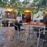 ΚΑΦΕ-ΨΗΤΟΠΩΛΕΙΟ-ΕΛΑΤΗ-ΑΡΤΑΣ-ΤΟ-ΜΠΑΛΚΟΝΙ-ΤΗΣ-ΕΛΑΤΗΣ