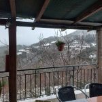 ΚΑΦΕ-ΨΗΤΟΠΩΛΕΙΟ-ΕΛΑΤΗ-ΑΡΤΑΣ-ΤΟ-ΜΠΑΛΚΟΝΙ-ΤΗΣ-ΕΛΑΤΗΣ