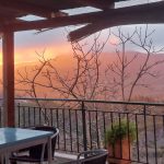 ΚΑΦΕ-ΨΗΤΟΠΩΛΕΙΟ-ΕΛΑΤΗ-ΑΡΤΑΣ-ΤΟ-ΜΠΑΛΚΟΝΙ-ΤΗΣ-ΕΛΑΤΗΣ