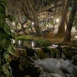 ΚΑΦΕΤΕΡΙΑ-ΛΙΒΑΔΕΙΑ-ΠΑΝΘΕΟΝ-CAFE-ESPRESSO-BAR