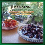 ΚΑΦΕΤΕΡΙΑ-ΛΙΒΑΔΕΙΑ-ΠΑΝΘΕΟΝ-CAFE-ESPRESSO-BAR