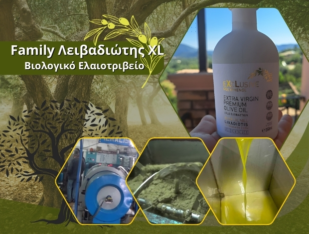 ΒΙΟΛΟΓΙΚΟ ΕΛΑΙΟΤΡΙΒΕΙΟ ΑΓΙΟΣ ΜΑΤΘΑΙΟΣ ΚΕΡΚΥΡΑΣ “FAMILY LIVADIOTIS XL” ΛΕΙΒΑΔΙΩΤΗΣ ΣΠΥΡΟΣ