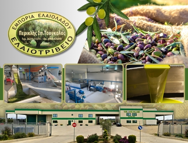 ΕΛΑΙΟΤΡΙΒΕΙΟ ΒΟΥΝΑΡΓΟ ΗΛΕΙΑΣ  “TSOUKALAS OLIVE OIL”  ΤΣΟΥΚΑΛΑΣ ΠΕΡΙΚΛΗΣ