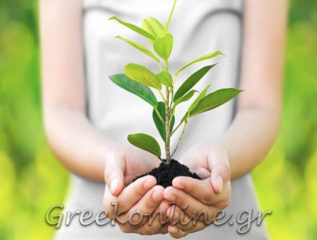 ΓΕΩΡΓΙΚΑ ΕΦΟΔΙΑ ΣΥΚΟΥΡΙΟ ΛΑΡΙΣΑΣ  ΚΑΚΑΓΙΑΝΝΗ ΒΑΣΙΛΙΚΗ