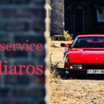 ΦΑΝΟΠΟΙΕΙΟ-ΝΕΑ-ΜΟΥΔΑΝΙΑ-ΧΑΛΚΙΔΙΚΗΣ-ΜΑΛΛΙΑΡΟΣ