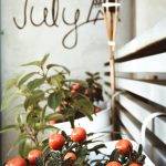 ΚΑΦΕ-ΑΝΑΨΥΚΤΗΡΙΟ-ΝΕΑ-ΙΩΝΙΑ-ΑΤΤΙΚΗΣ-JULY