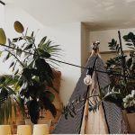 ΚΑΦΕ-ΑΝΑΨΥΚΤΗΡΙΟ-ΝΕΑ-ΙΩΝΙΑ-ΑΤΤΙΚΗΣ-JULY